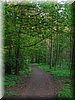 DSCN0568.jpg