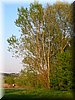 DSCN0575.jpg