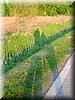 DSCN0582.jpg