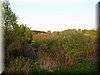 DSCN0585.JPG