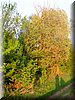 DSCN0589.jpg