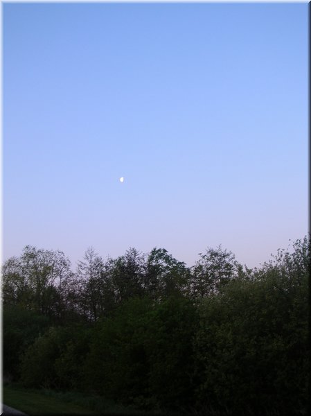 DSCN0669.JPG