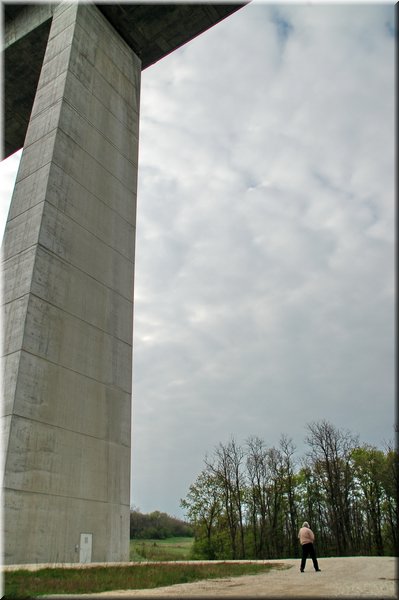 DSC_8481.jpg
