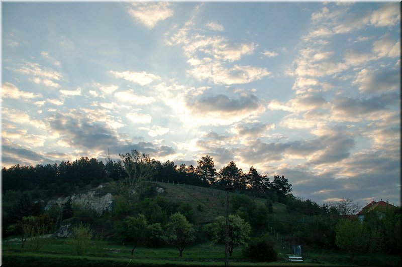 DSC_8530.jpg