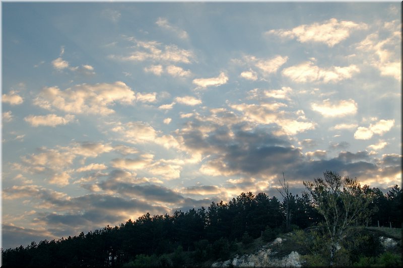 DSC_8533.jpg