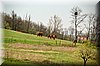 DSC_8471.jpg