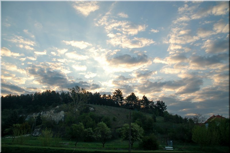 DSC_8530.jpg