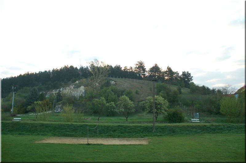 DSC_8531.jpg