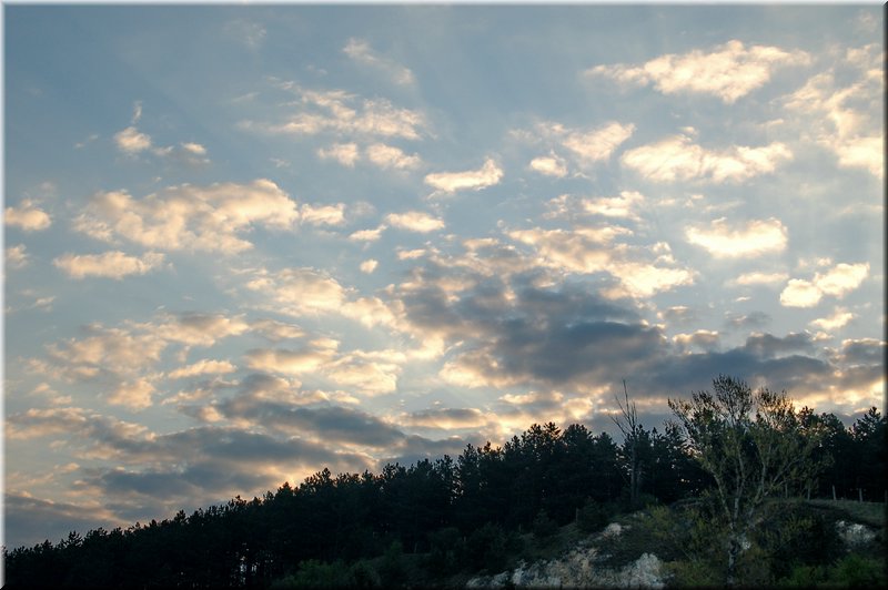 DSC_8533.jpg