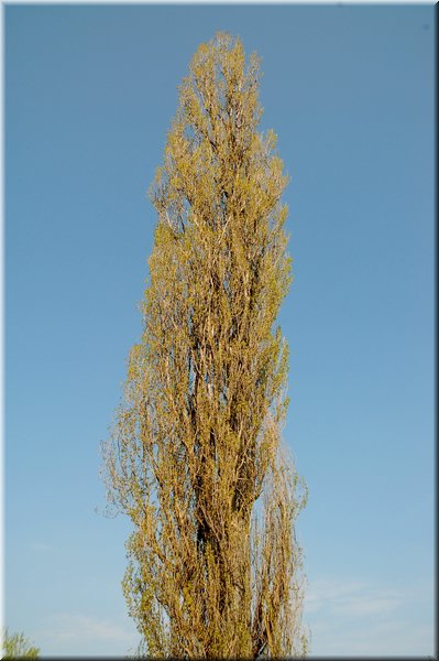 DSC_8535.jpg