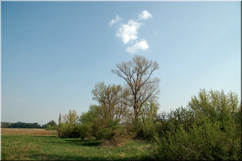 DSC_8536.jpg