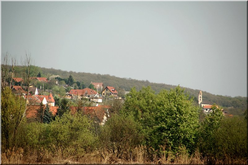 DSC_8537.jpg