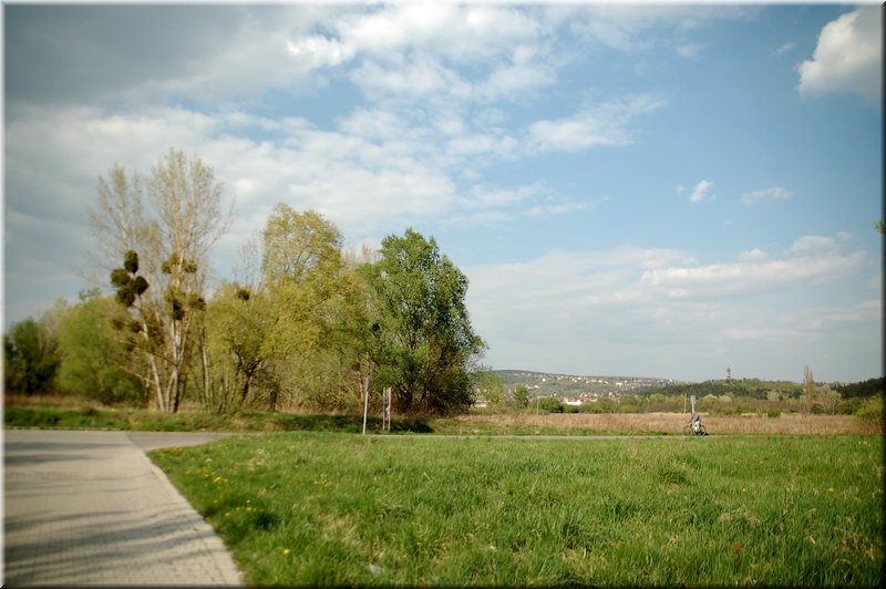 DSC_8595.jpg