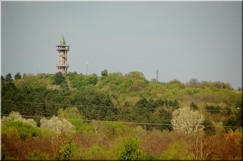 DSC_8597.jpg