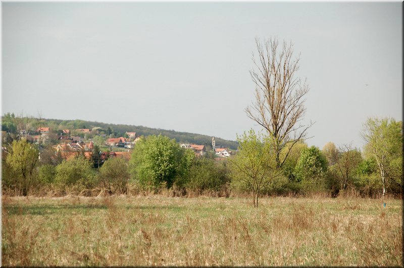 DSC_8599.jpg