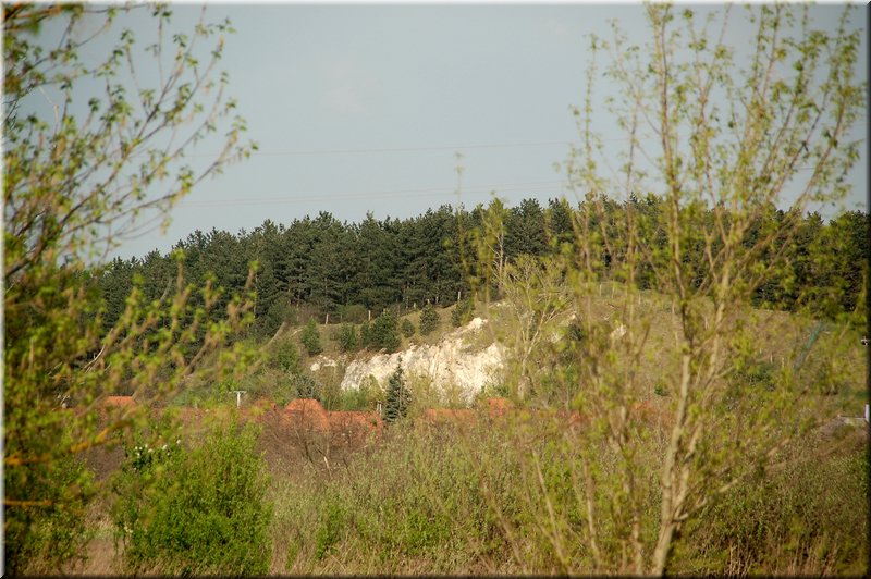 DSC_8601.jpg