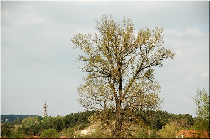 DSC_8606.jpg