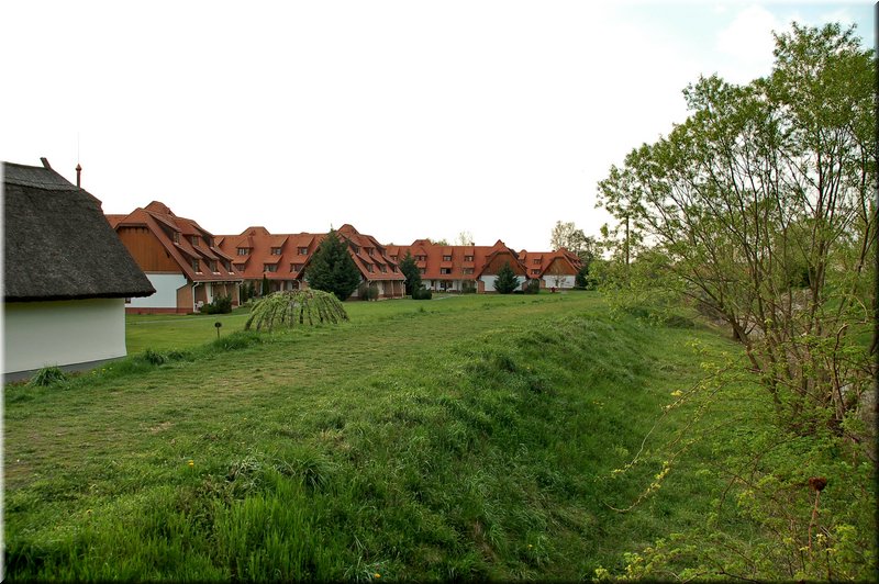 DSC_8639.jpg