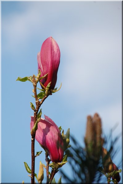 DSC_8672.JPG
