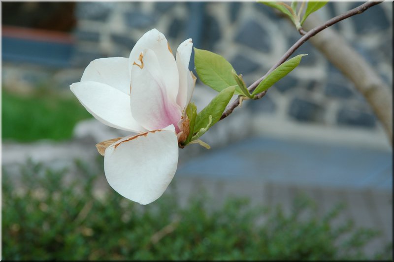 DSC_8679.JPG