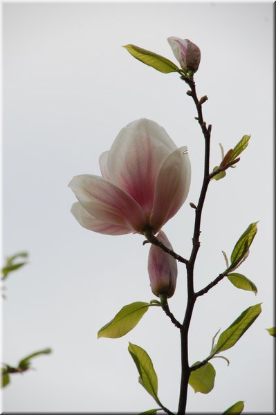 DSC_8681.JPG