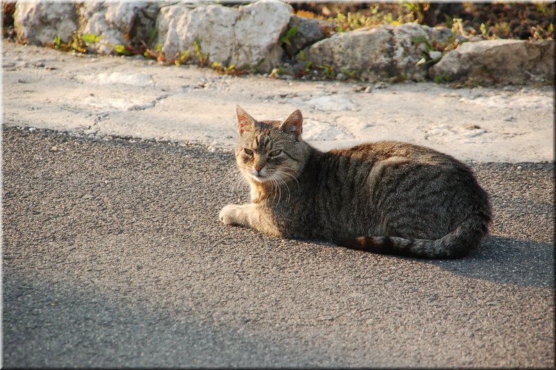 DSC_8714.JPG