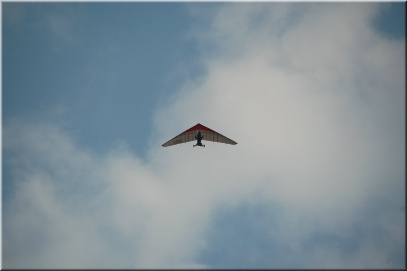 DSC_8742.JPG