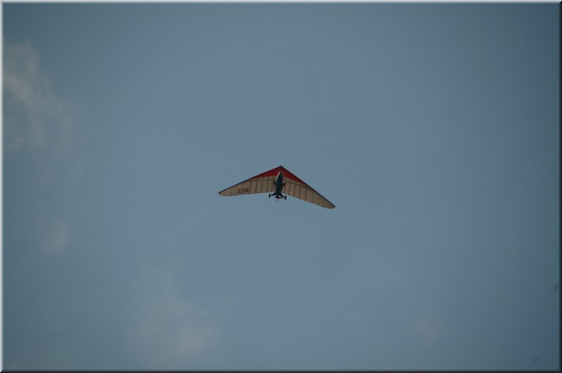 DSC_8743.JPG