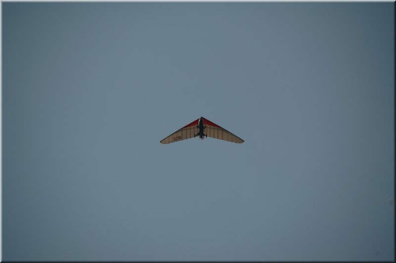 DSC_8744.JPG