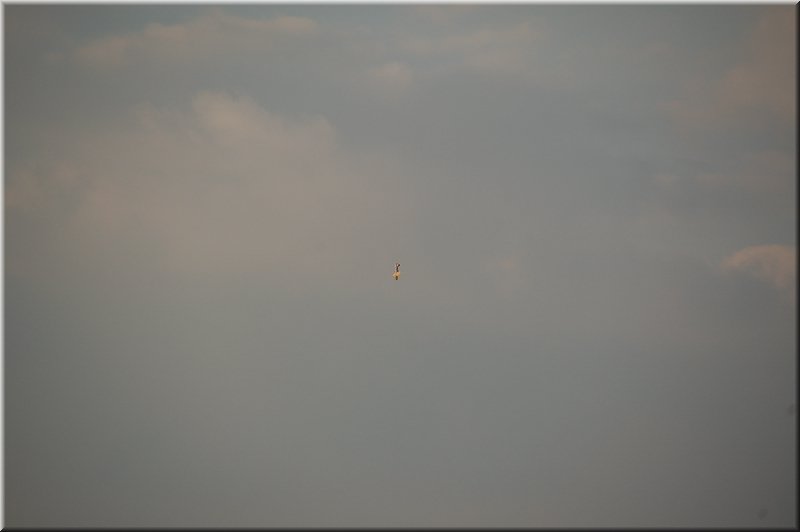 DSC_8756.JPG