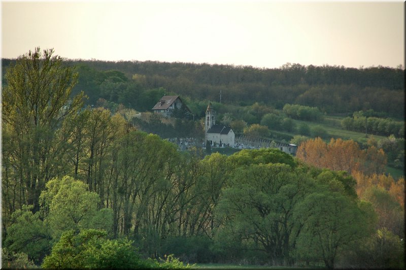 DSC_8758.jpg