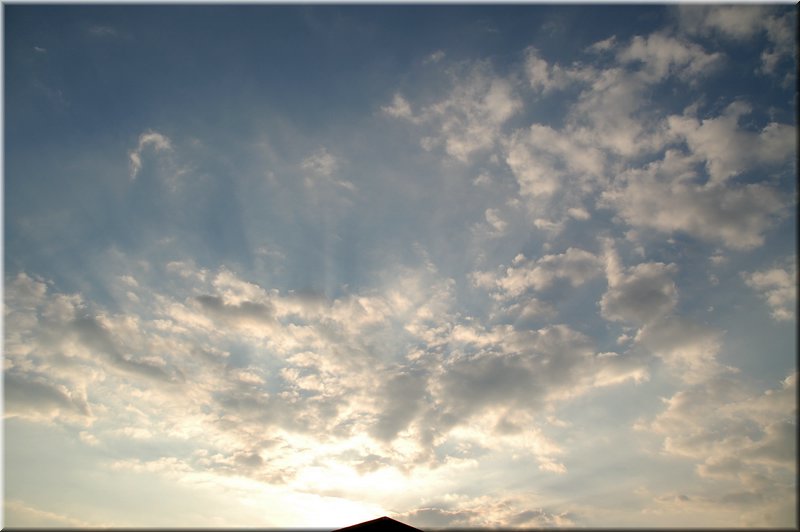 DSC_8762.jpg
