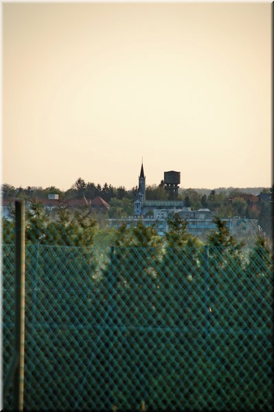 DSC_8763.jpg