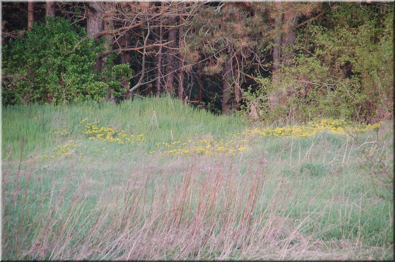 DSC_8765.JPG