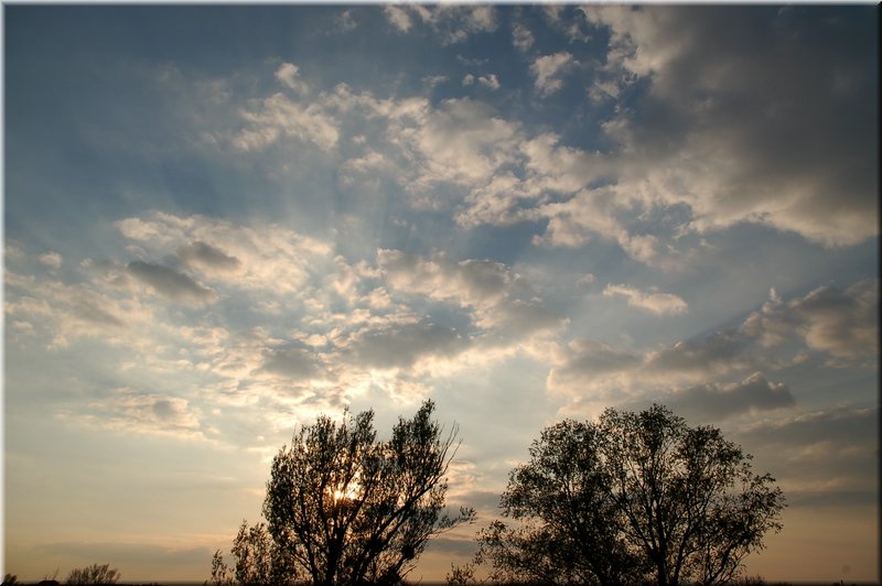 DSC_8766.jpg