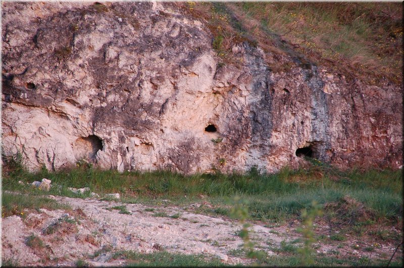 DSC_8772.JPG
