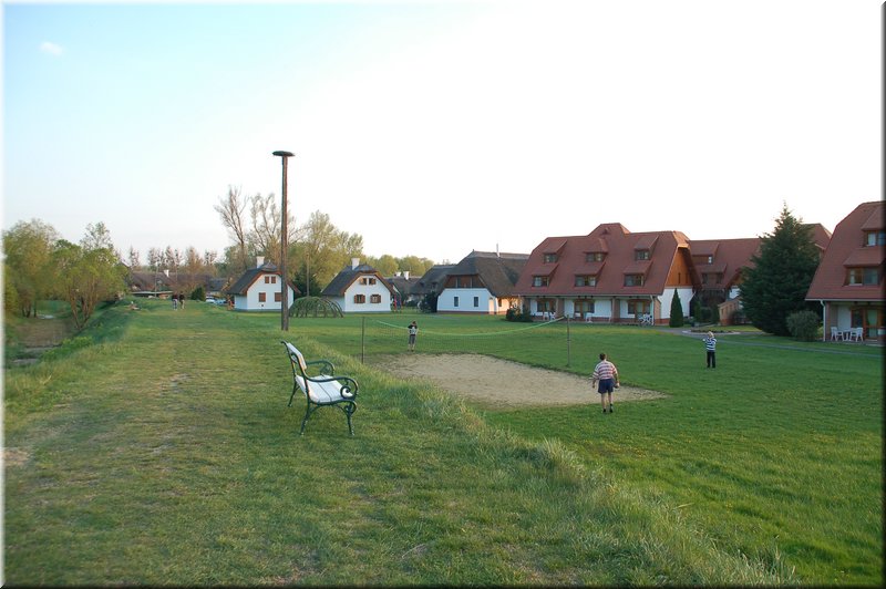 DSC_8778.JPG