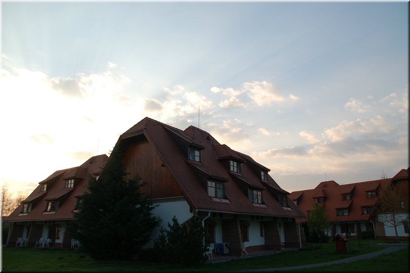 DSC_8779.JPG