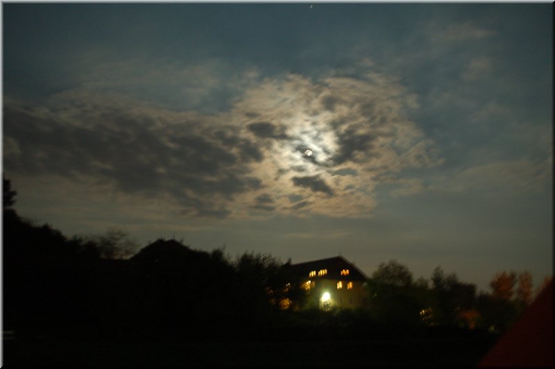 DSC_8800.JPG
