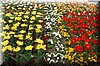 DSC_8539.JPG