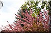 DSC_8570.JPG