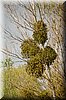 DSC_8596.jpg