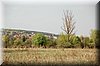 DSC_8599.jpg