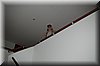 DSC_8633.JPG
