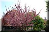 DSC_8659.JPG