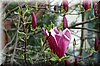 DSC_8666.JPG