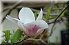 DSC_8677.JPG