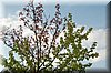 DSC_8707.jpg