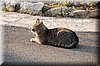 DSC_8713.JPG