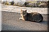 DSC_8714.JPG